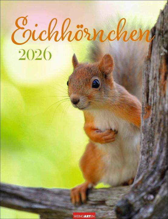 Produktbild Eichhörnchen Kalender 2026 (30 x 39 cm, Deutsch)