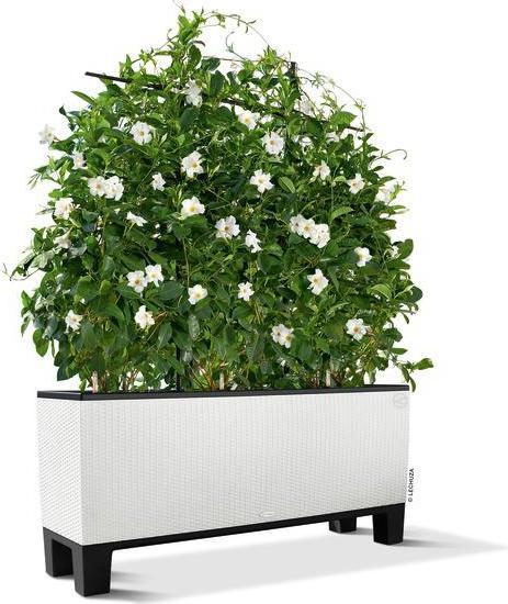 Produktbild Lechuza Trio Cottage (42 cm)