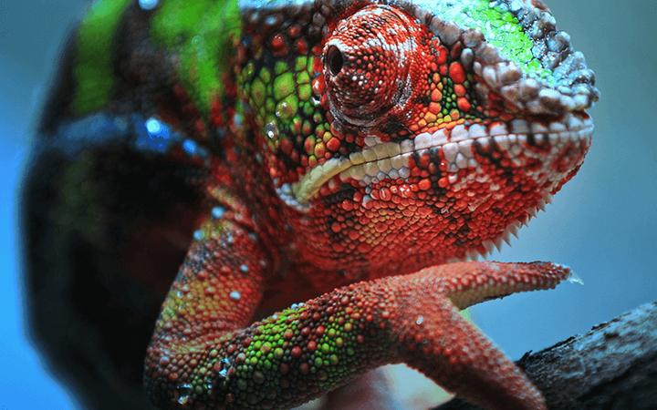 Produktbild Epson EH-TW7100 (4K, 3000 lm, 1.32 - 2.15:1)