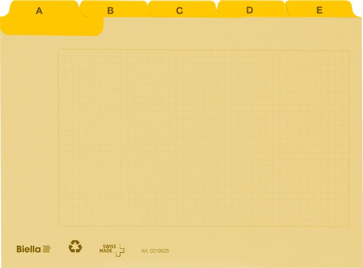 Biella Schede guida (A7, 450 g/m², 25 x)