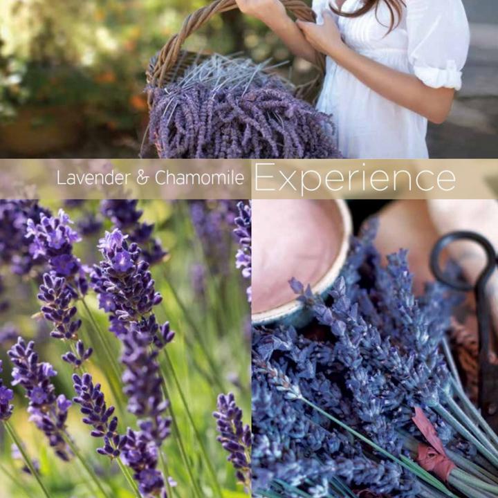 Actual product image Cuccio Cuticle Revitalizing Oil - Lavender & Chamomile