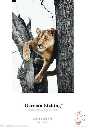 Image du produit Hahnemühle French Etching (310 g/m², 25 x, A2)