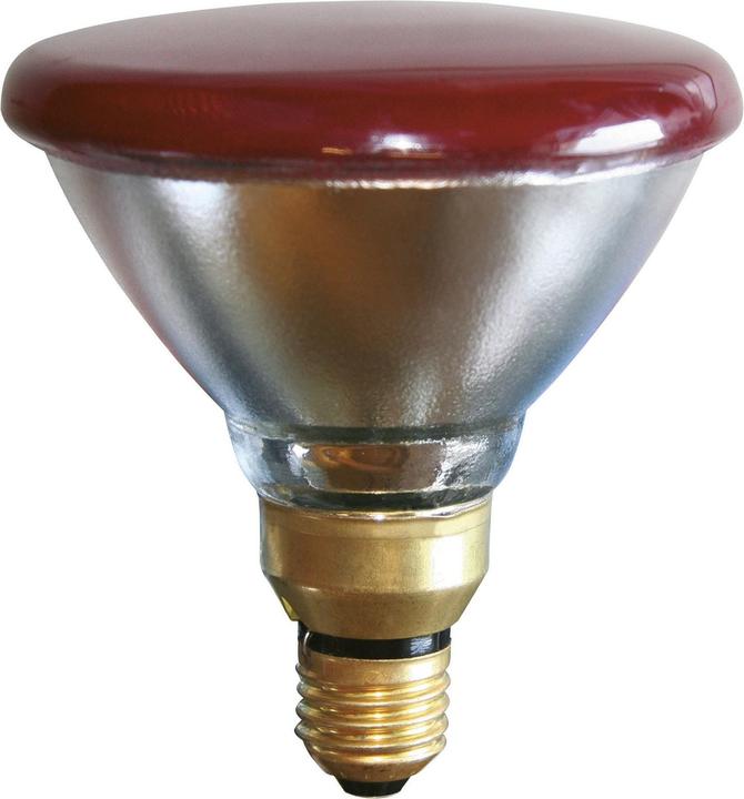 Immagine prodotto Kerbl Lampada economica a infrarossi PAR 38, 100 Watt, rossa (100 W)