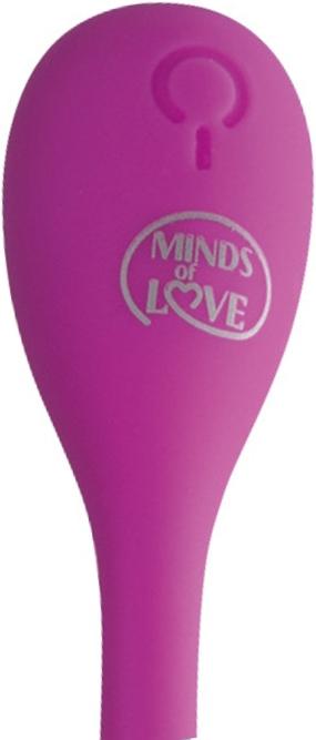 Produktbild Minds of Love Groove Duo