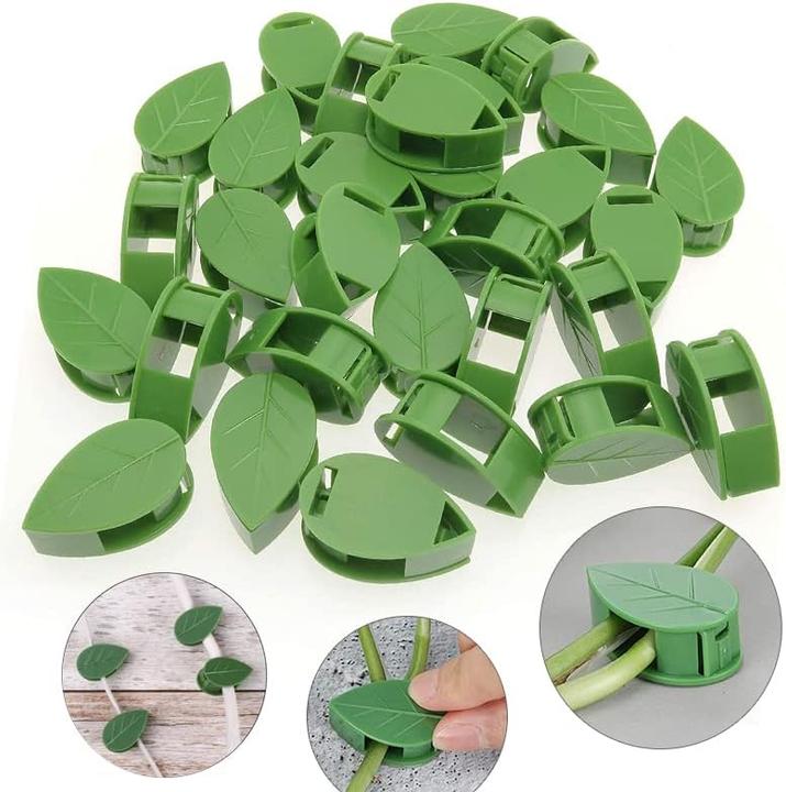 Image du produit Homava Support pour plantes grimpantes Auto-adhésif