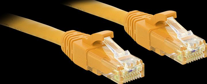 Actual product image Lindy Network cable (U/UTP, CAT6, 0.30 m)