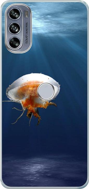 Jellyfish