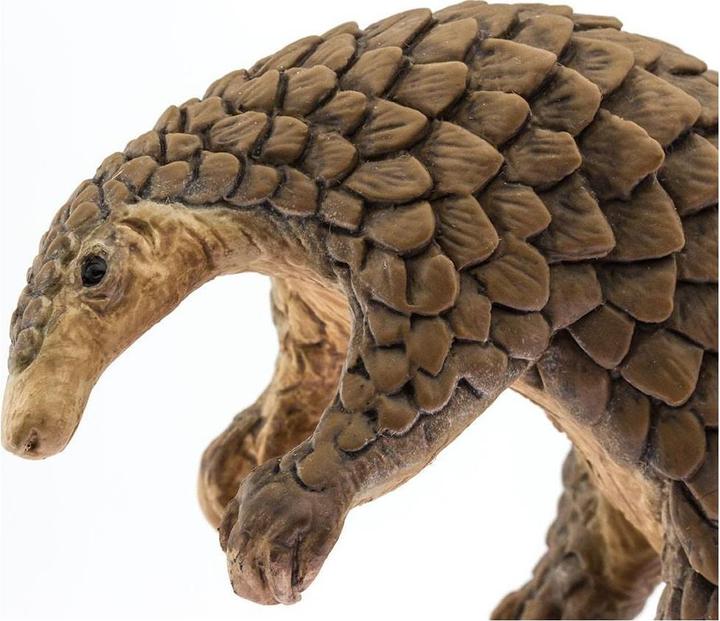 Image du produit Safari Pangolin