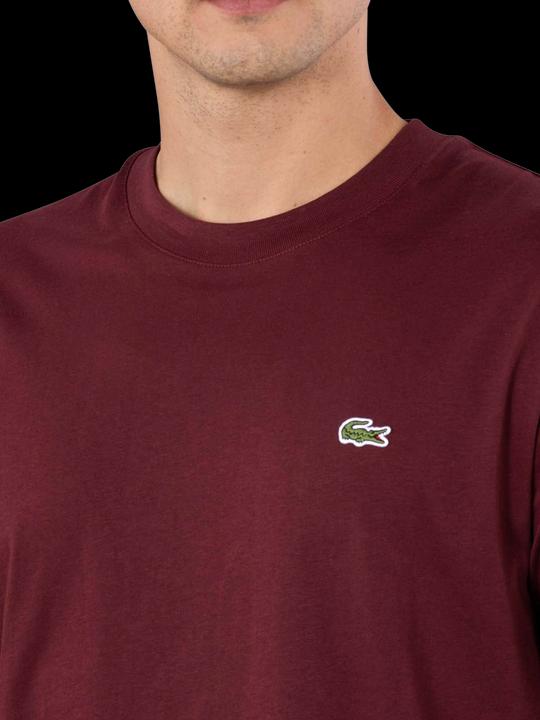 Actual product image Lacoste 10019952 (4XL)