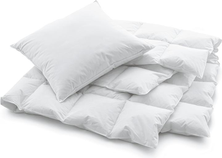 Immagine prodotto Swiss Dream by billerbeck Caro Classic 90 (770 g, 240 x 240 cm)