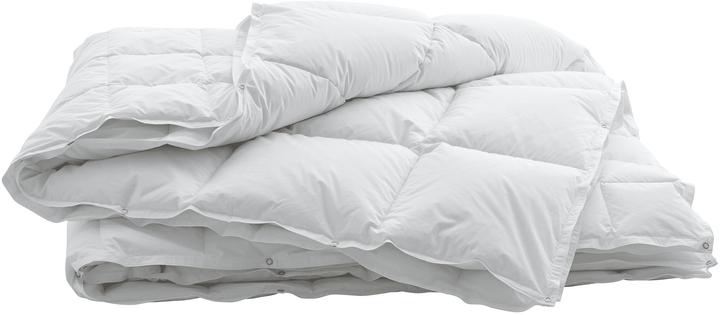 Actual product image Swiss Dream by billerbeck CLC 90 Caro 4 seasons (900 g, 160 x 210 cm)