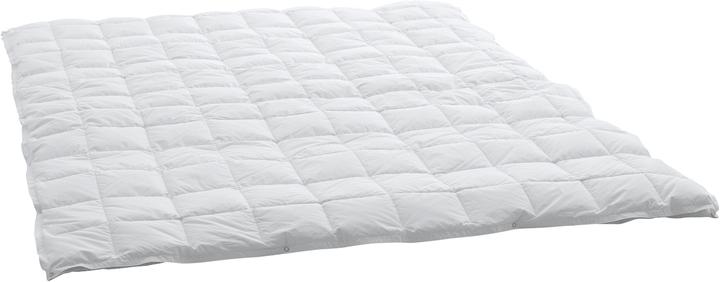 Actual product image Swiss Dream by billerbeck Caro Classic 90 (1030 g, 160 x 240 cm)