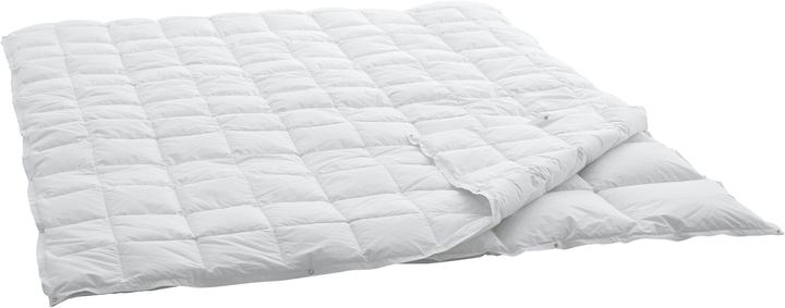 Actual product image Swiss Dream by billerbeck Caro Classic 90 (1030 g, 160 x 240 cm)