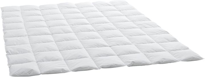 Immagine prodotto Swiss Dream by billerbeck Caro Classic 90 (770 g, 240 x 240 cm)