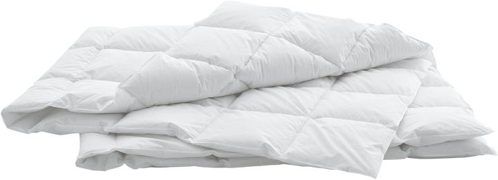 Immagine prodotto Swiss Dream by billerbeck Caro Classic 90 (770 g, 240 x 240 cm)