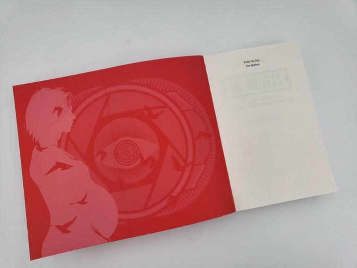 Actual product image The Mothers – Sie müssen perfekt sein oder der Staat nimmt ihnen ihr Kind (German, Polly Ho-Yen, 2023)
