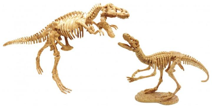 Image du produit Buki Dino Dig