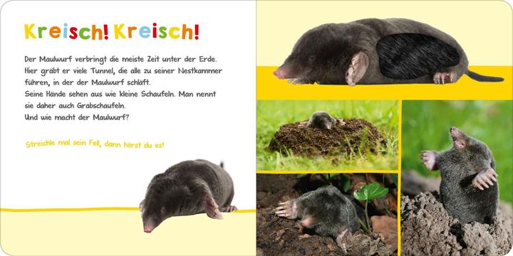Produktbild Hör mal rein, wer kann das sein? - Im Garten (Deutsch, 2019)