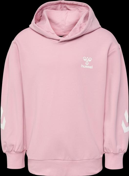 Actual product image hummel hmlDUE HOODIE (104)