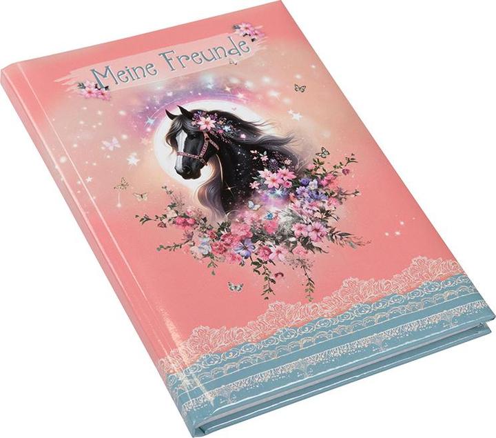 Actual product image Goldbuch Freundebuch A5 88 S.illu. Luna