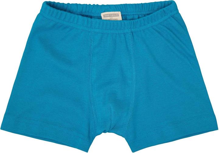 Image du produit loud + proud Lot de deux boxers en fines côtes (122)