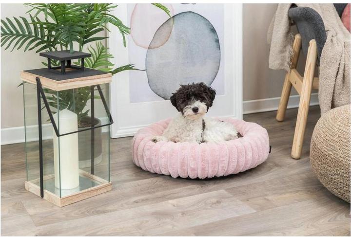 Immagine prodotto Trixie Cuccia per cani Lonni ø 60 cm, rosa (Cane)