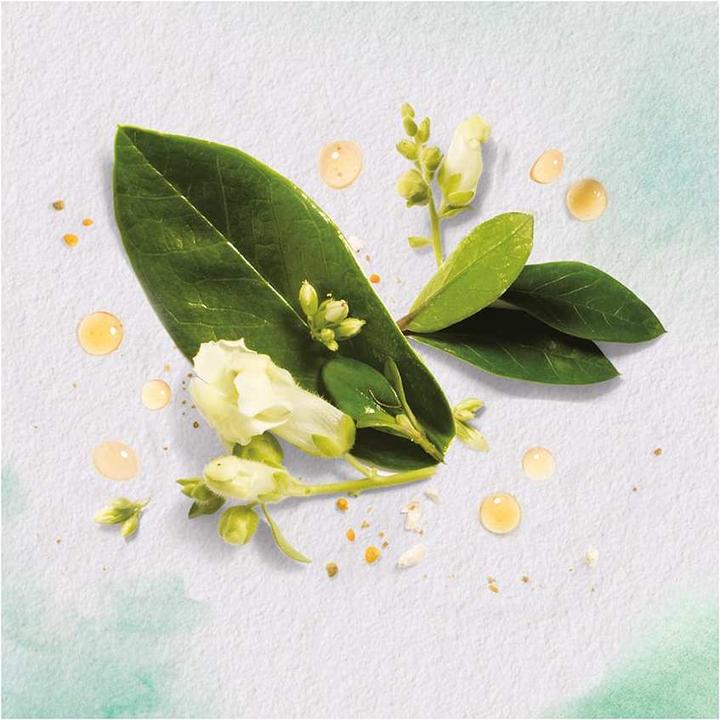 Actual product image Herbal Essences Golden Moringa Oil (250 ml, Liquid shampoo)