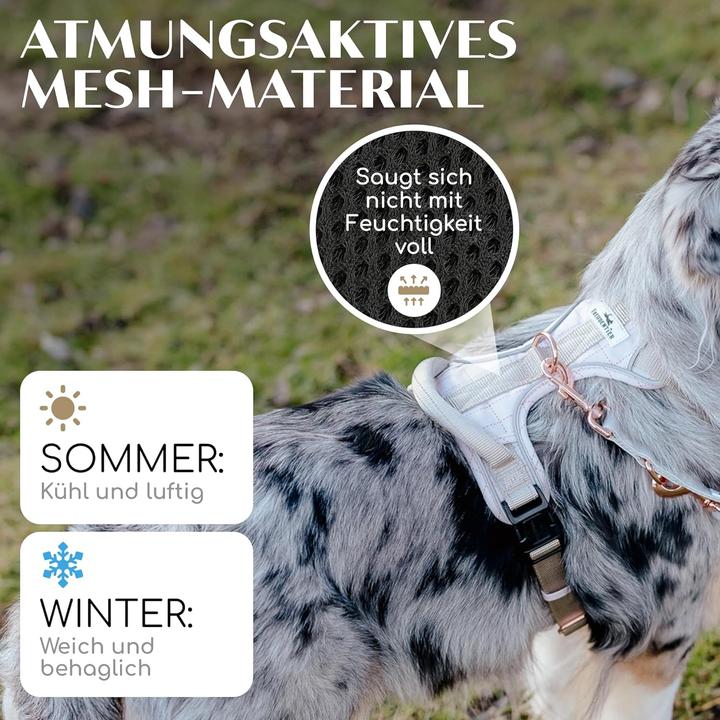 Produktbild Freudentier Clyde Hundegeschirr (S, Hund, Allgemein)