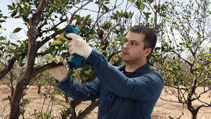Produktbild Bosch Professional Pro Pruner