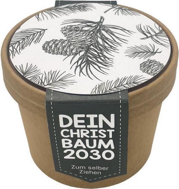 Produktbild Wunderle Wundertüte Dein Christbaum 2030 (1 x)