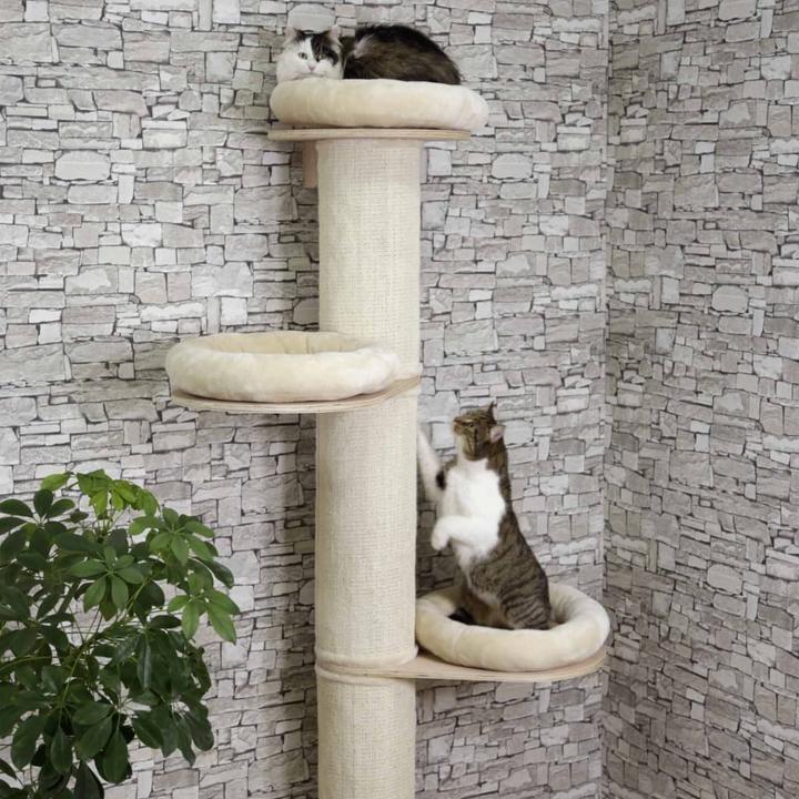 Image du produit Kerbl Tour de la Dolomite (187 cm, Beige)