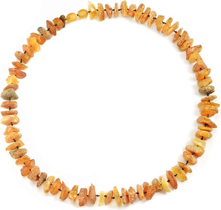 Image du produit Amberdog Collier d'ambre Soleil 32cm (Chien)