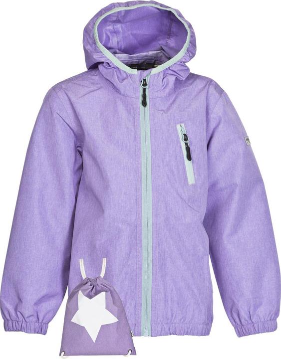Paisley Purple