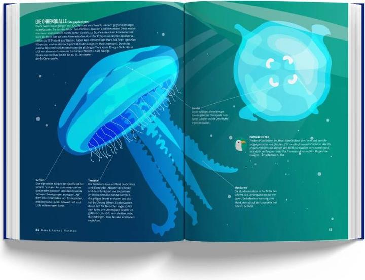 Immagine prodotto Il libro del Mare del Nord