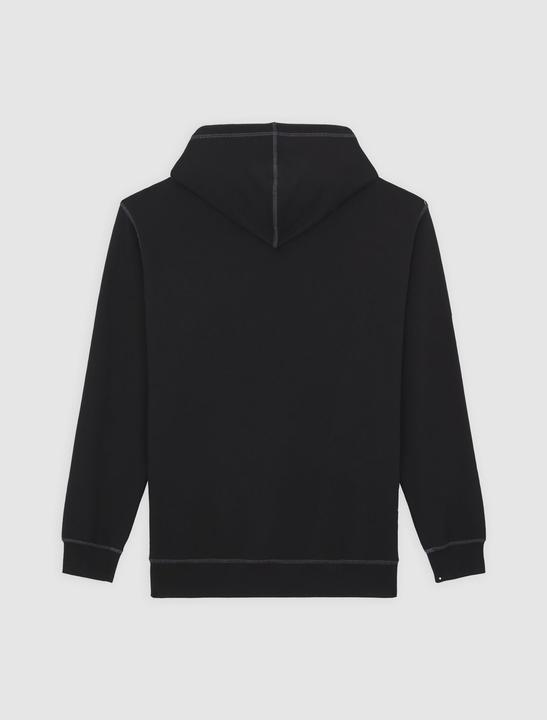 Produktbild Dickies Roy Hoodie Black (M)