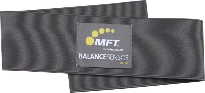 Produktbild MFT Balance Sensor Sit Ball