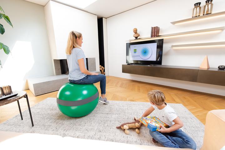 Produktbild MFT Balance Sensor Sit Ball