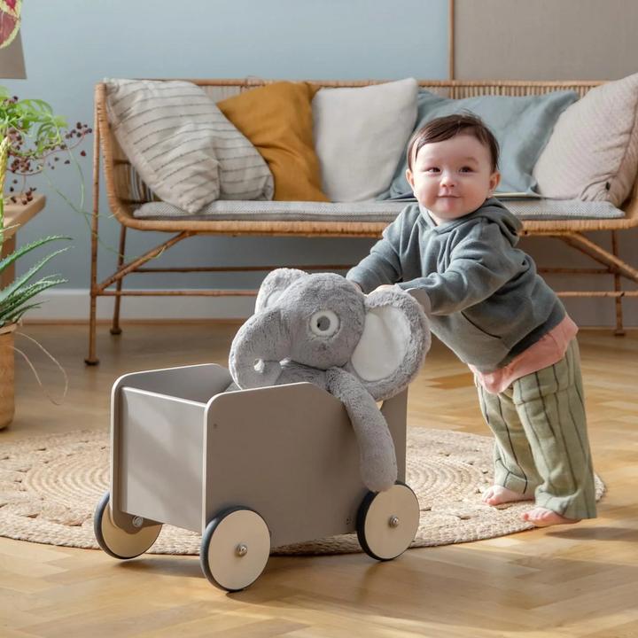 Immagine prodotto Sebra Lauflernwagen