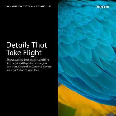 Actual product image Xerox 106r02758 (Y)