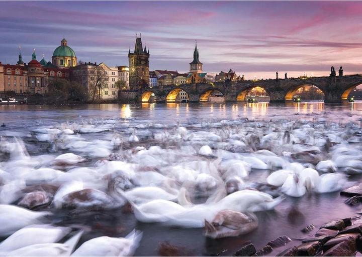 Actual product image Schmidt Spiele Prague swans (1000 pieces)