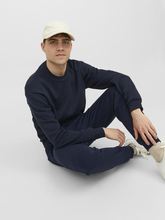 Actual product image Jack & Jones Gordon Bradley Sweatpants (L)