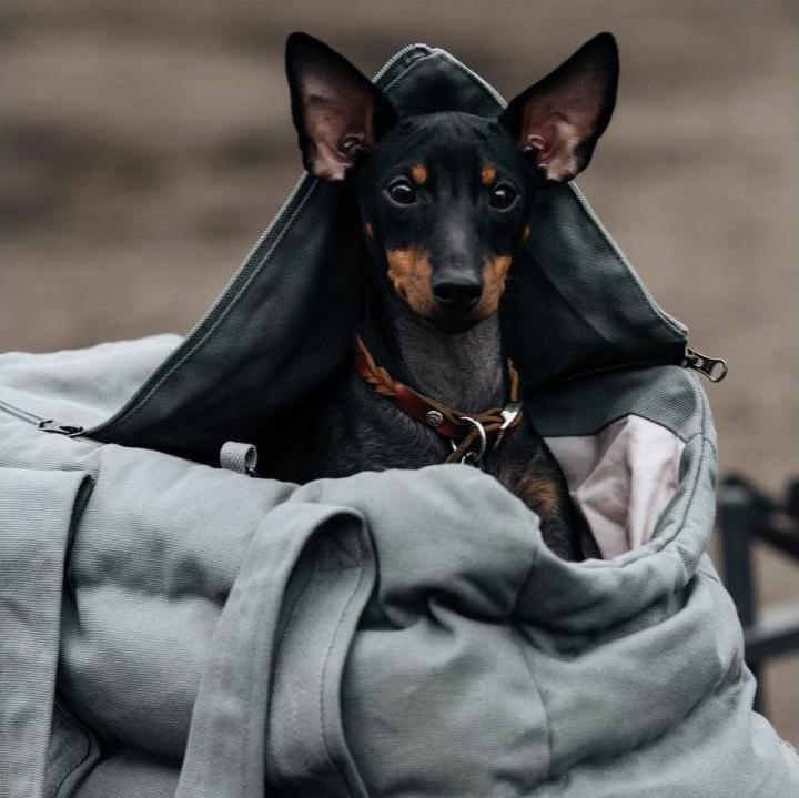 Immagine prodotto Cloud 7 Borsa per cani Bergamo (Cane)