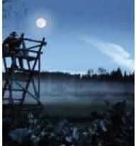 Image du produit Steiner Nighthunter (8 x, 56 mm)
