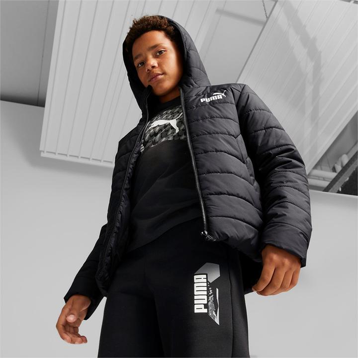 Image du produit Puma Veste ESS Padded (128)
