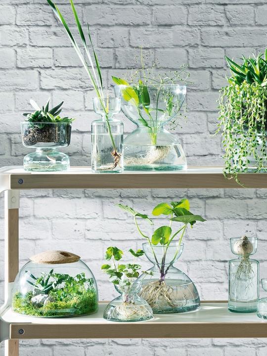 Produktbild LSA Canopy Geschlossenes Garten H16.5cm - recy. Optik (1 x)