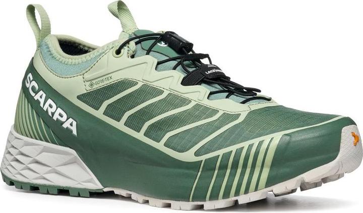 Scarpa Ribelle Run GTX Wmn (36)