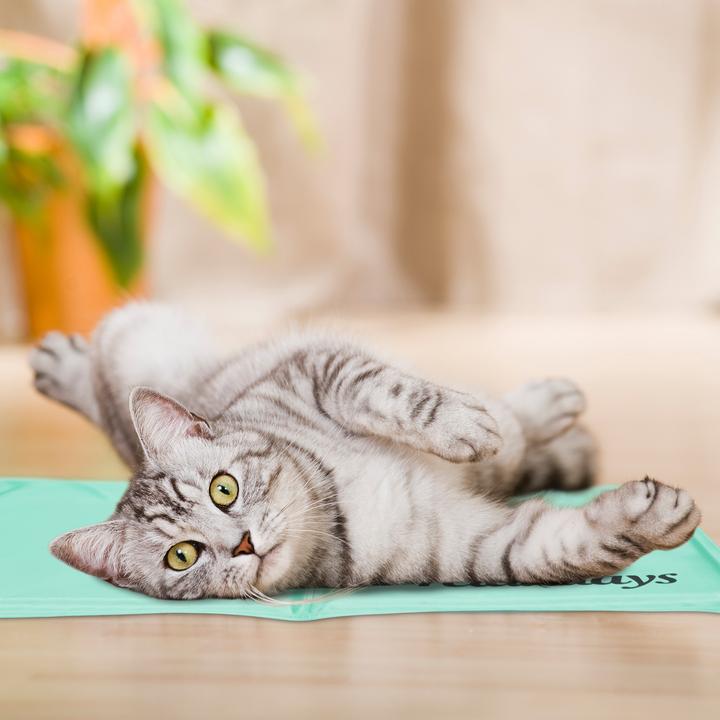 Actual product image Relaxdays Cooling mat dog (Dog)