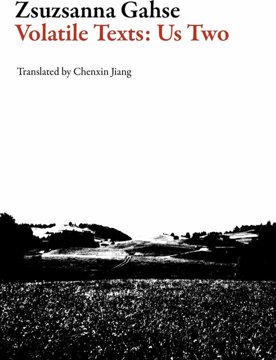 Image du produit Volatile Texts (Anglais, Zsuzsanna Gahse, Chenxin Jiang, 2017)