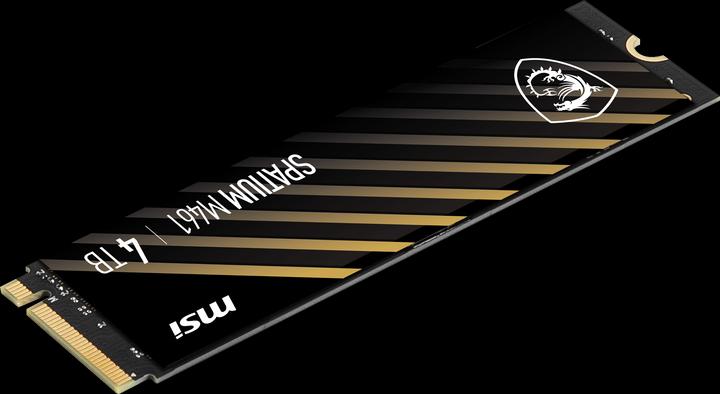 Actual product image MSI Spatium M461 (4000 GB, M.2 2280)