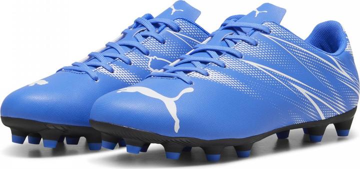 Produktbild Puma Attacanto Fg/Ag (40)